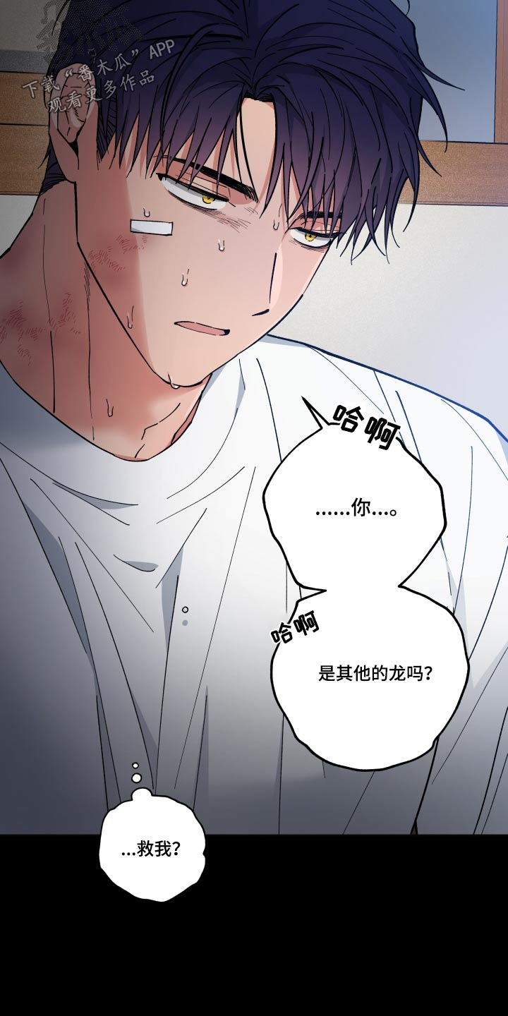 龙神大陆漫画,第58章：怎么回事2图