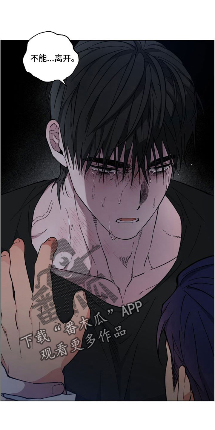 龙神至尊风无尘免费阅读全文漫画,第50章：需要的是你1图
