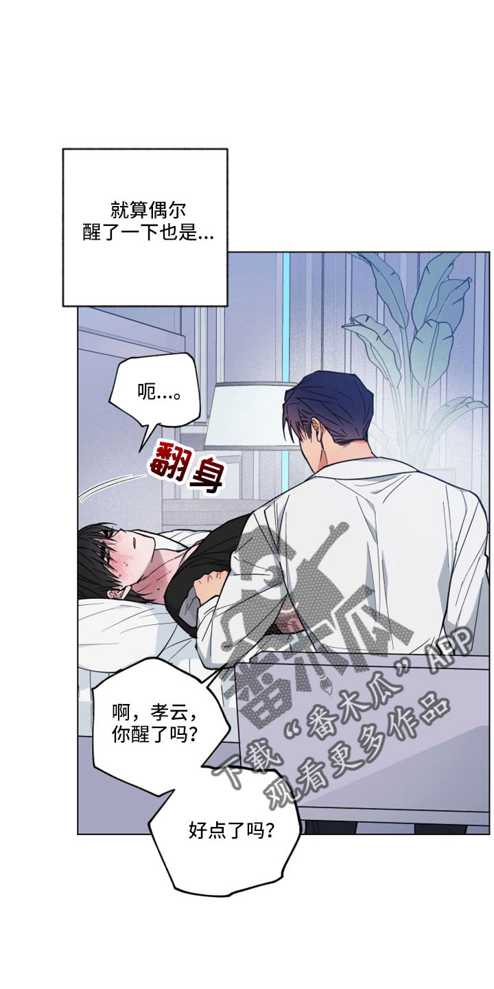 龙神恋人前世漫画,第46章：变成日常了2图