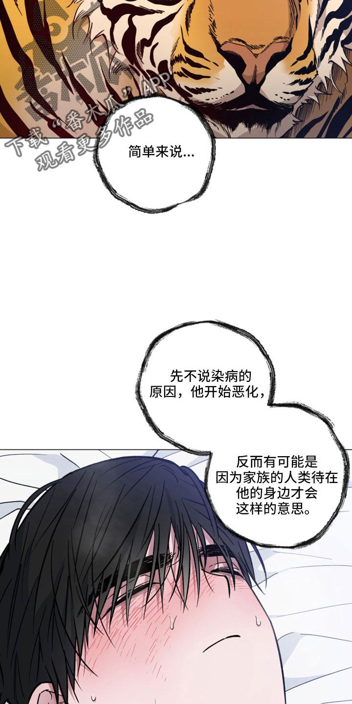 龙神恋人漫画,第46章：变成日常了1图