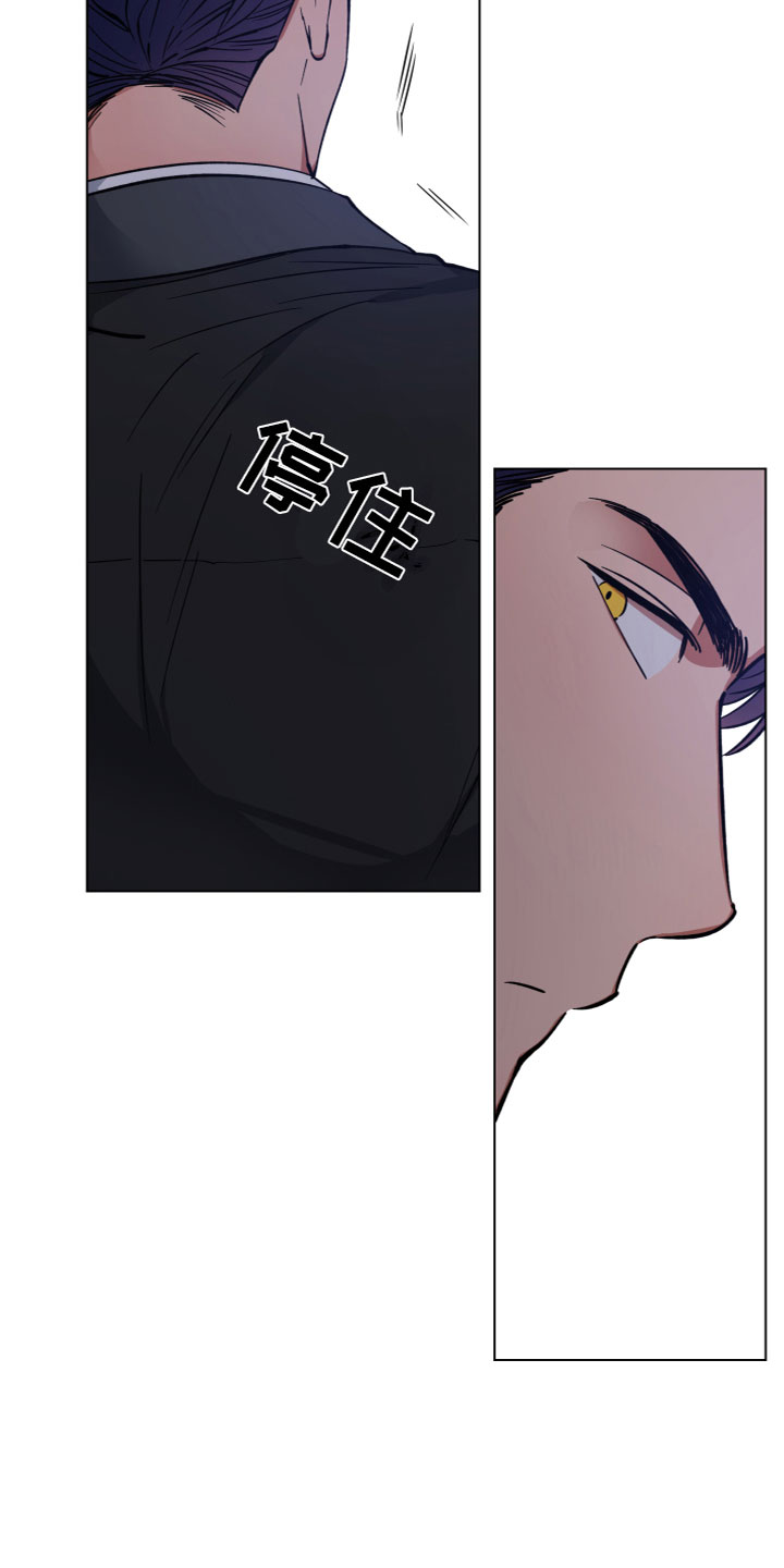 龙神至尊风无尘免费阅读全文漫画,第4章：进门了1图