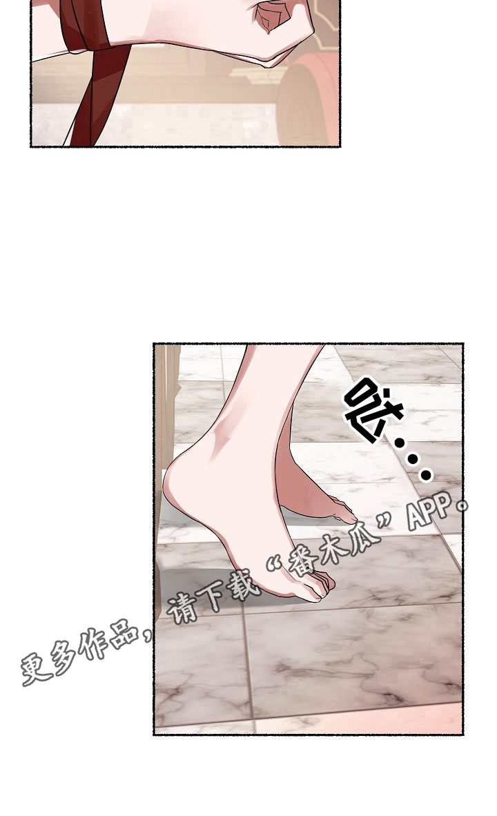 绽放的芍药什么意思漫画,第3章：叮嘱2图