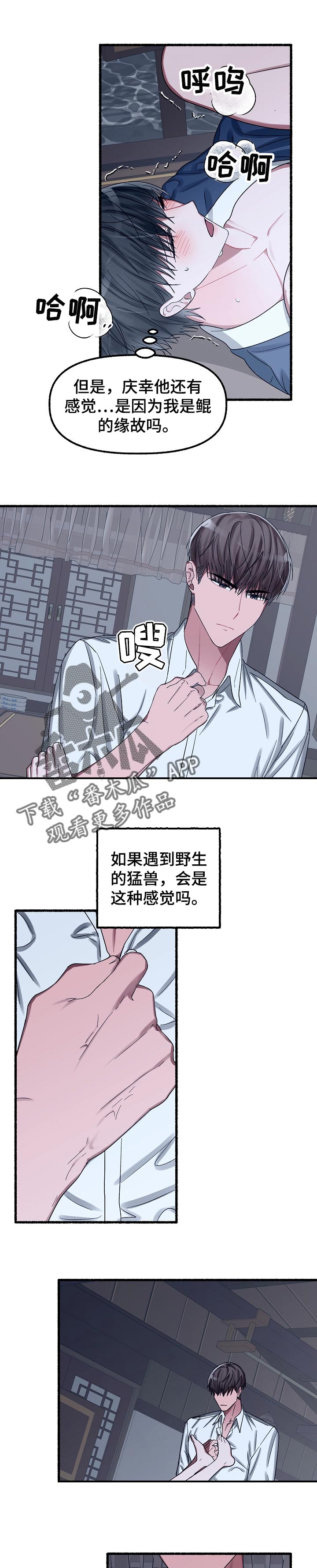 绽放的花朵寓意漫画,第52章：名字1图