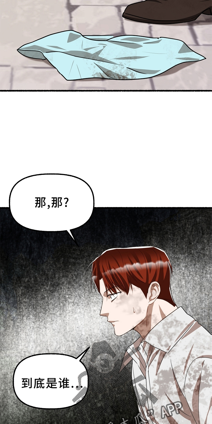 绽放的花朵的视频漫画,第163章：下令就好1图