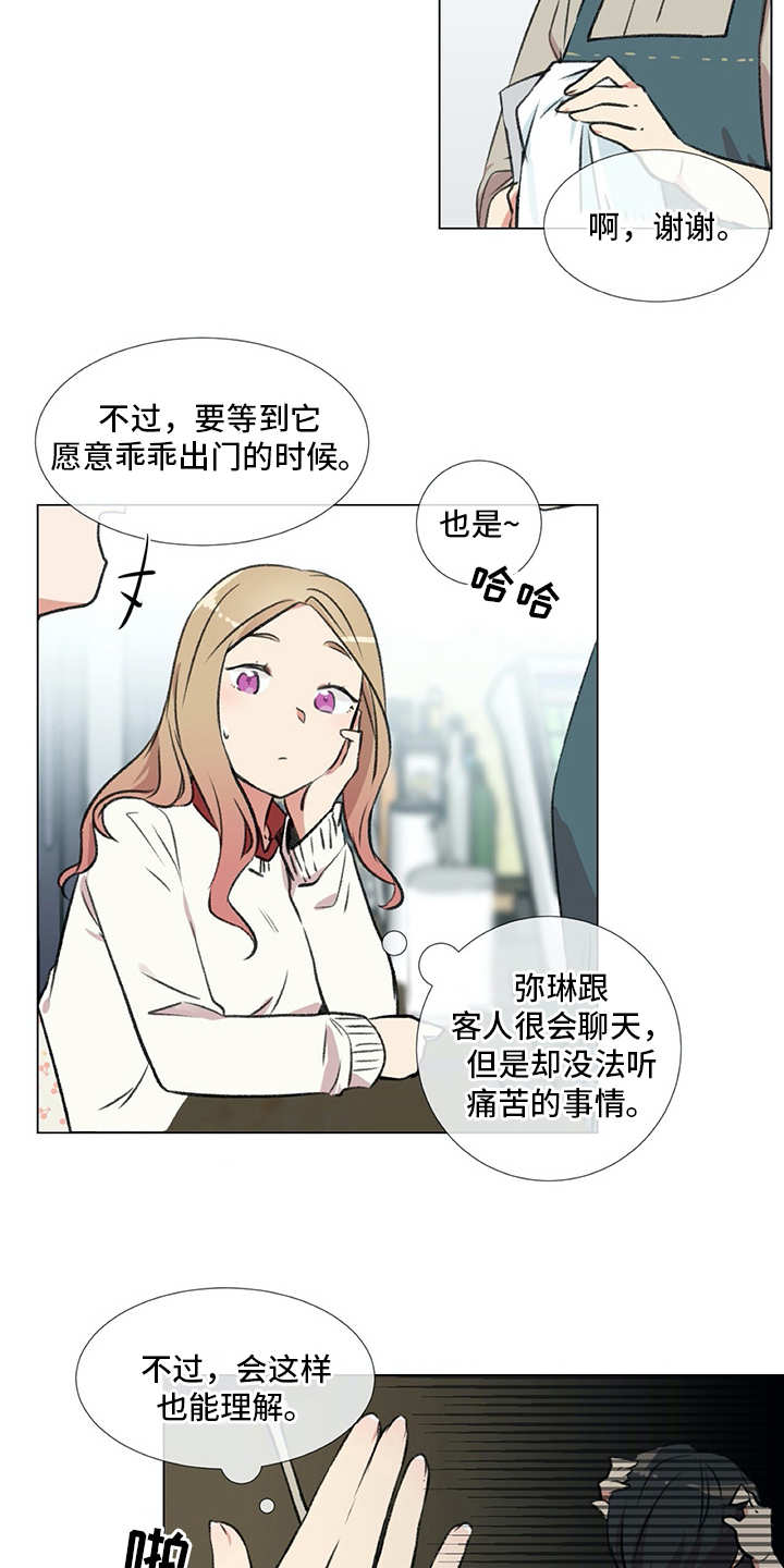 情感咨询师赚钱吗漫画,第19章：受伤1图