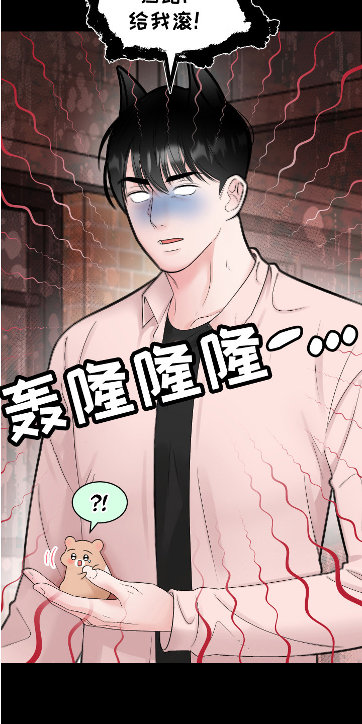 吃仓鼠犯法吗漫画,第19章：计划1图