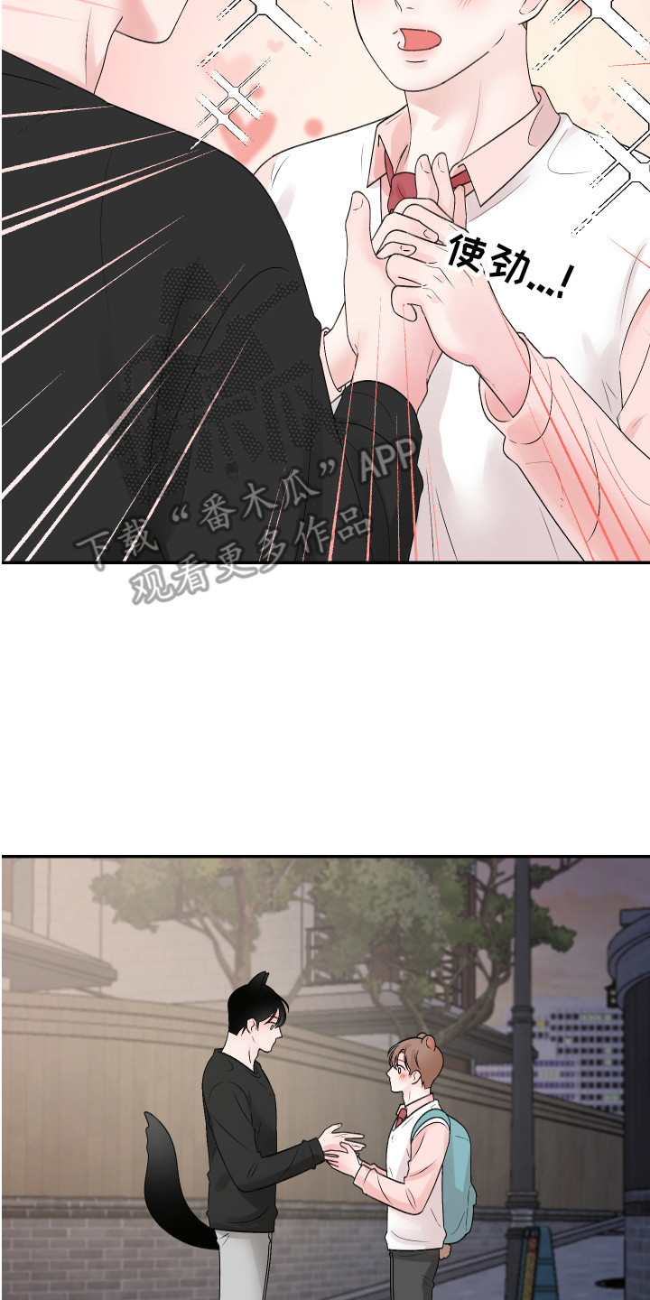 吃仓鼠犯法吗漫画,第20章：交往 2图