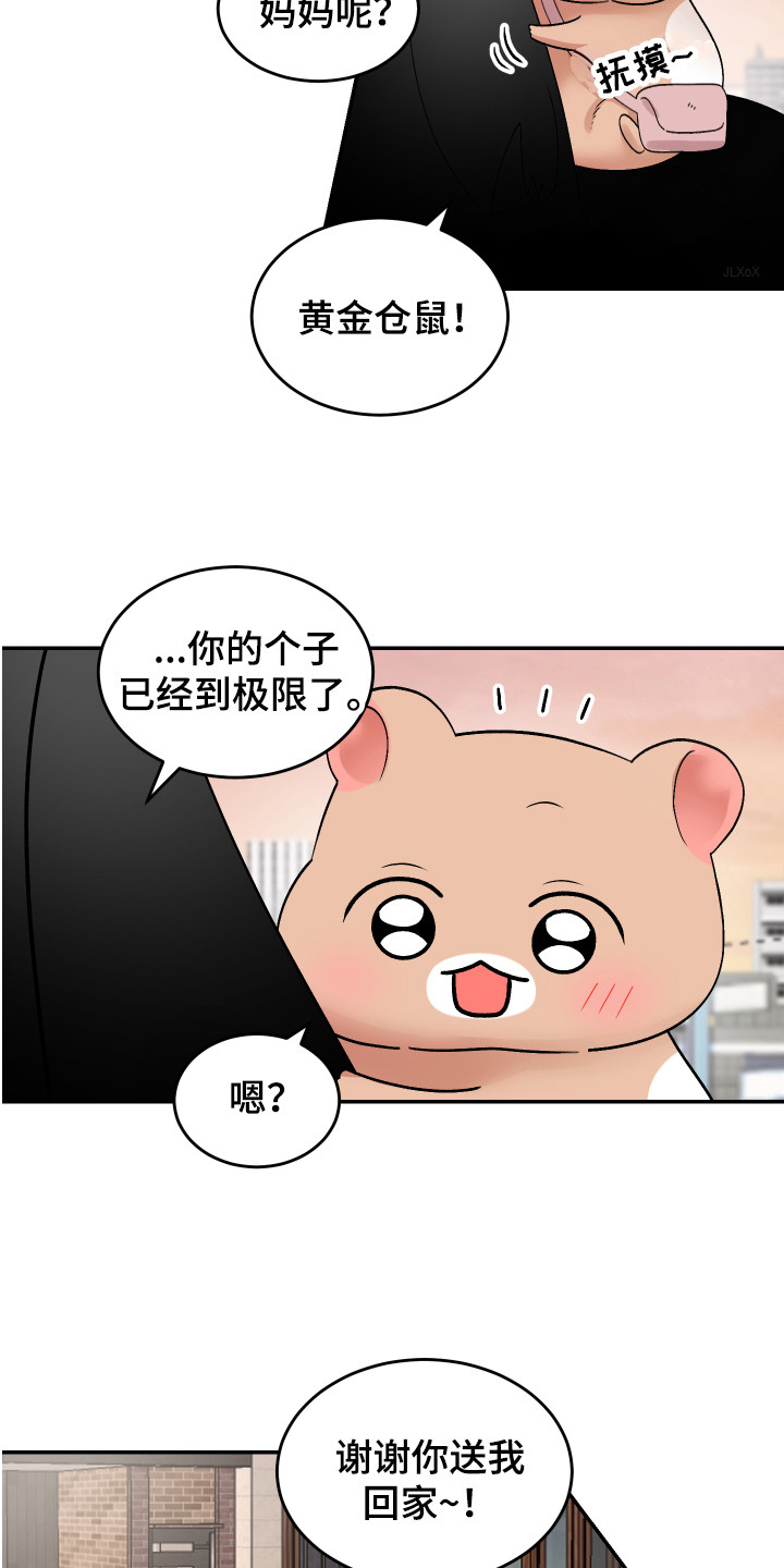 大仓鼠被吃掉了漫画,第14章：珍藏的食物1图
