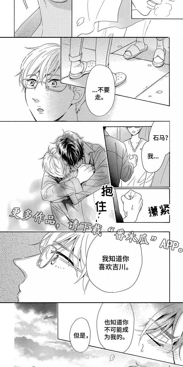 房间里有猫臭味怎么去除漫画,第13章：表白2图