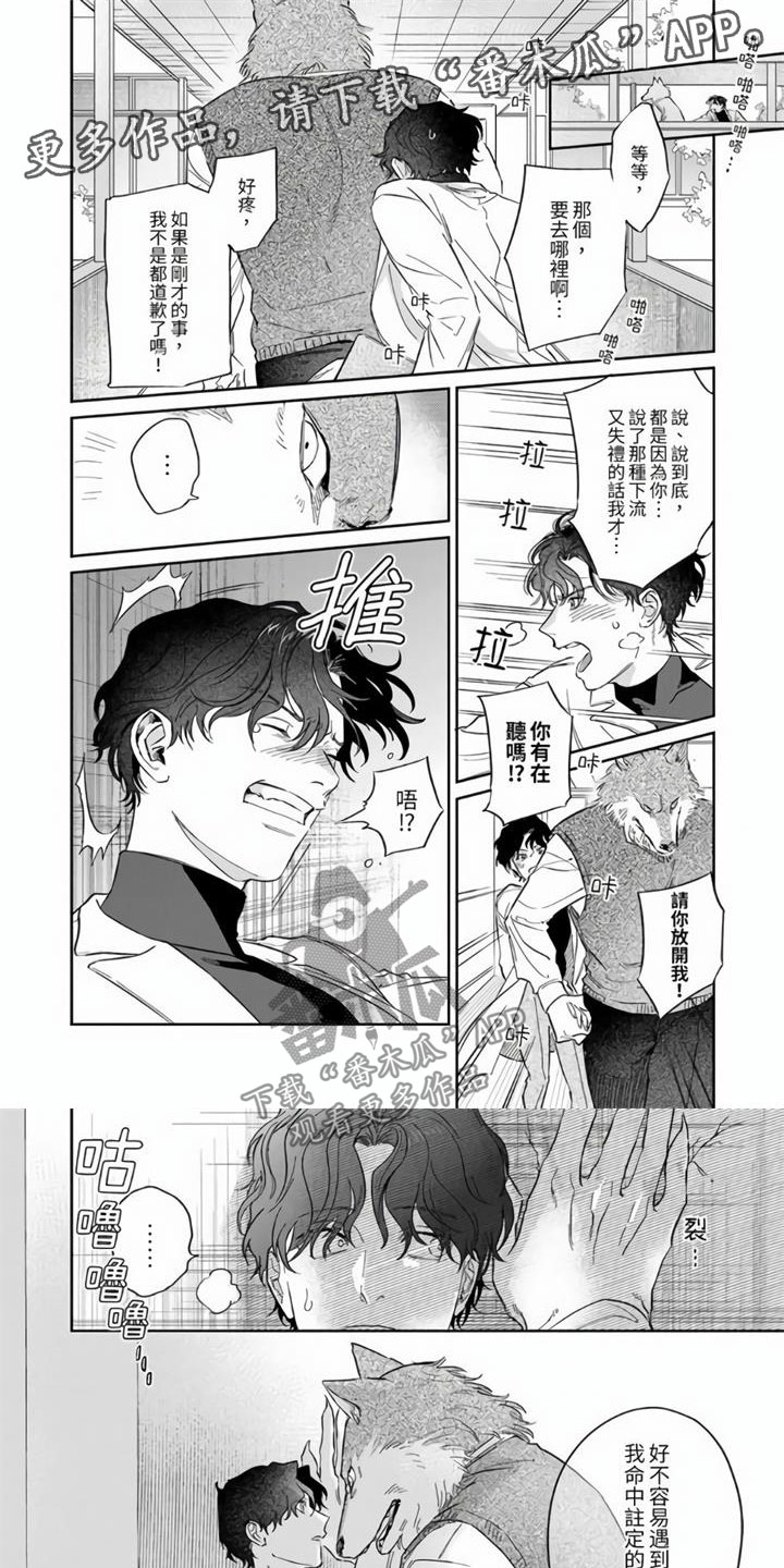 霸道之爱漫画在线观看全集漫画,第4章：命中注定1图