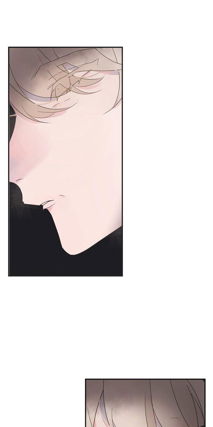 婚恋咨询师漫画,第24章：打扰了1图