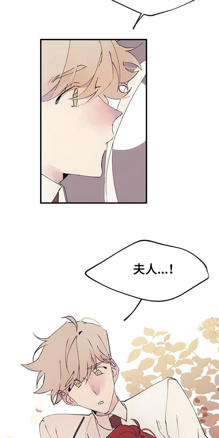 婚恋咨询师漫画,第3章：分离2图