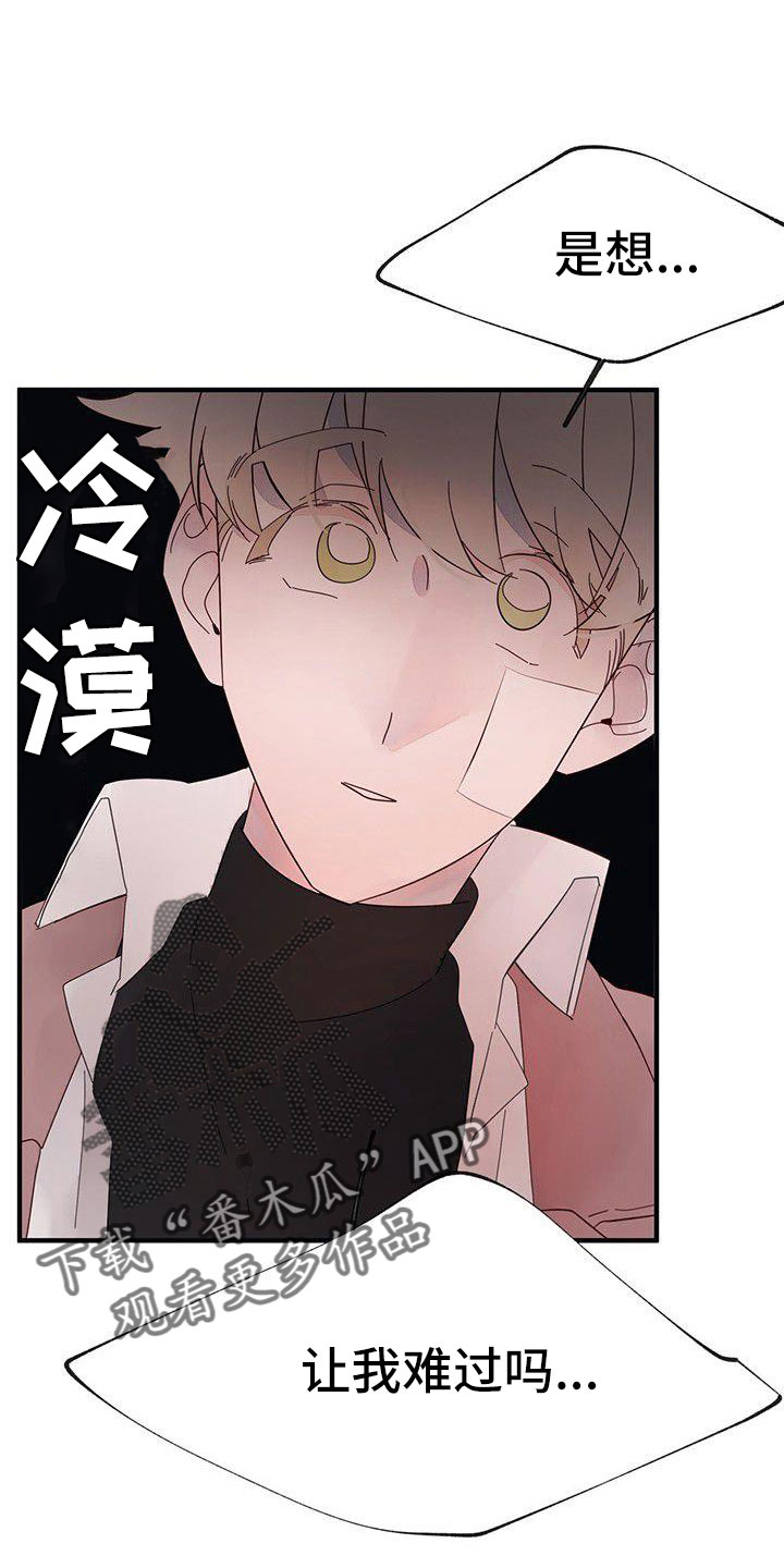 婚恋咨询师漫画,第22章：夫人输了1图