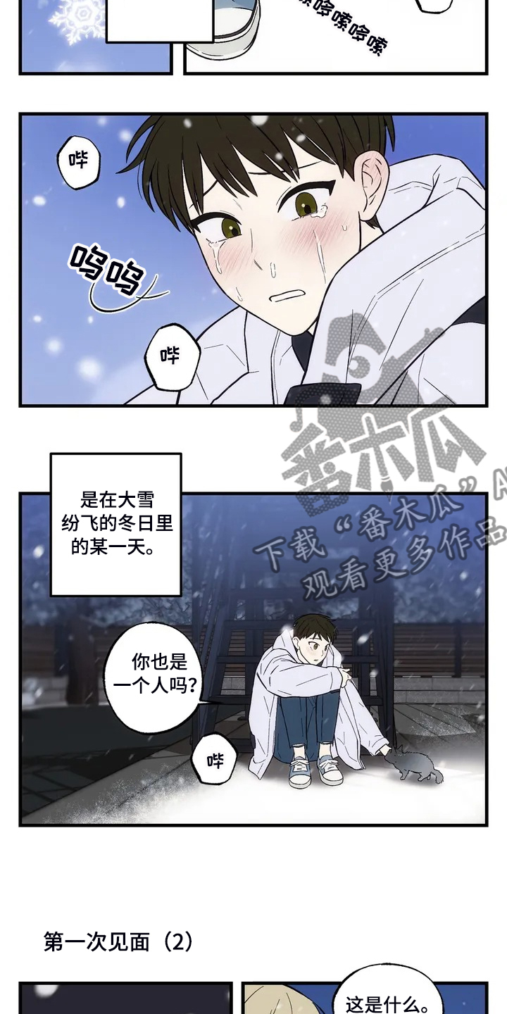 粉饼价格排名漫画,第34章：【特别篇】角色介绍1图