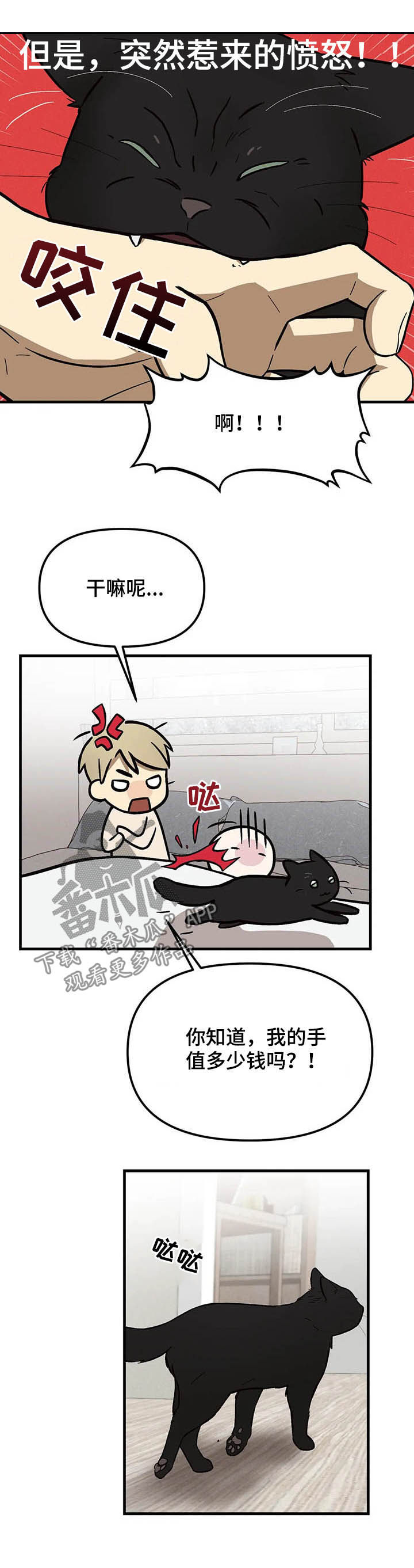 粉丝恋爱漫画,第16章：不赖2图