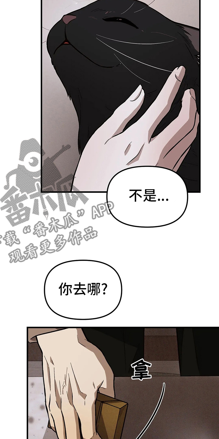 粉丝恋包菜做法窍门漫画,第29章：夜曲2图