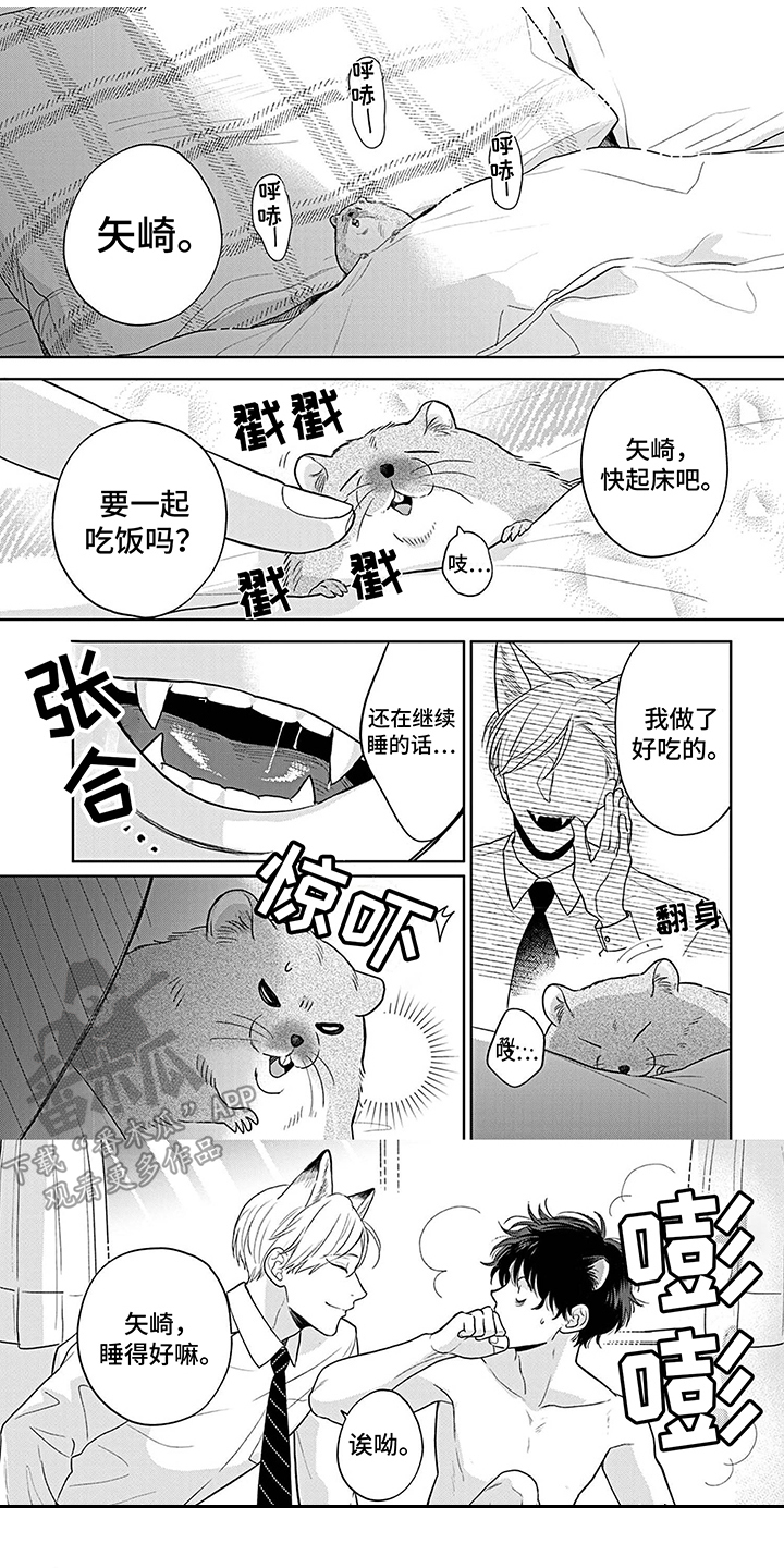 欧米伽让我流泪漫画,第19章：恋人关系1图