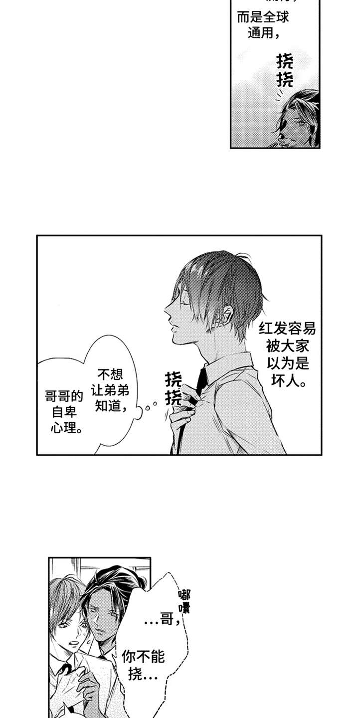 三兄弟情义唱的歌漫画,第2章：秘密1图