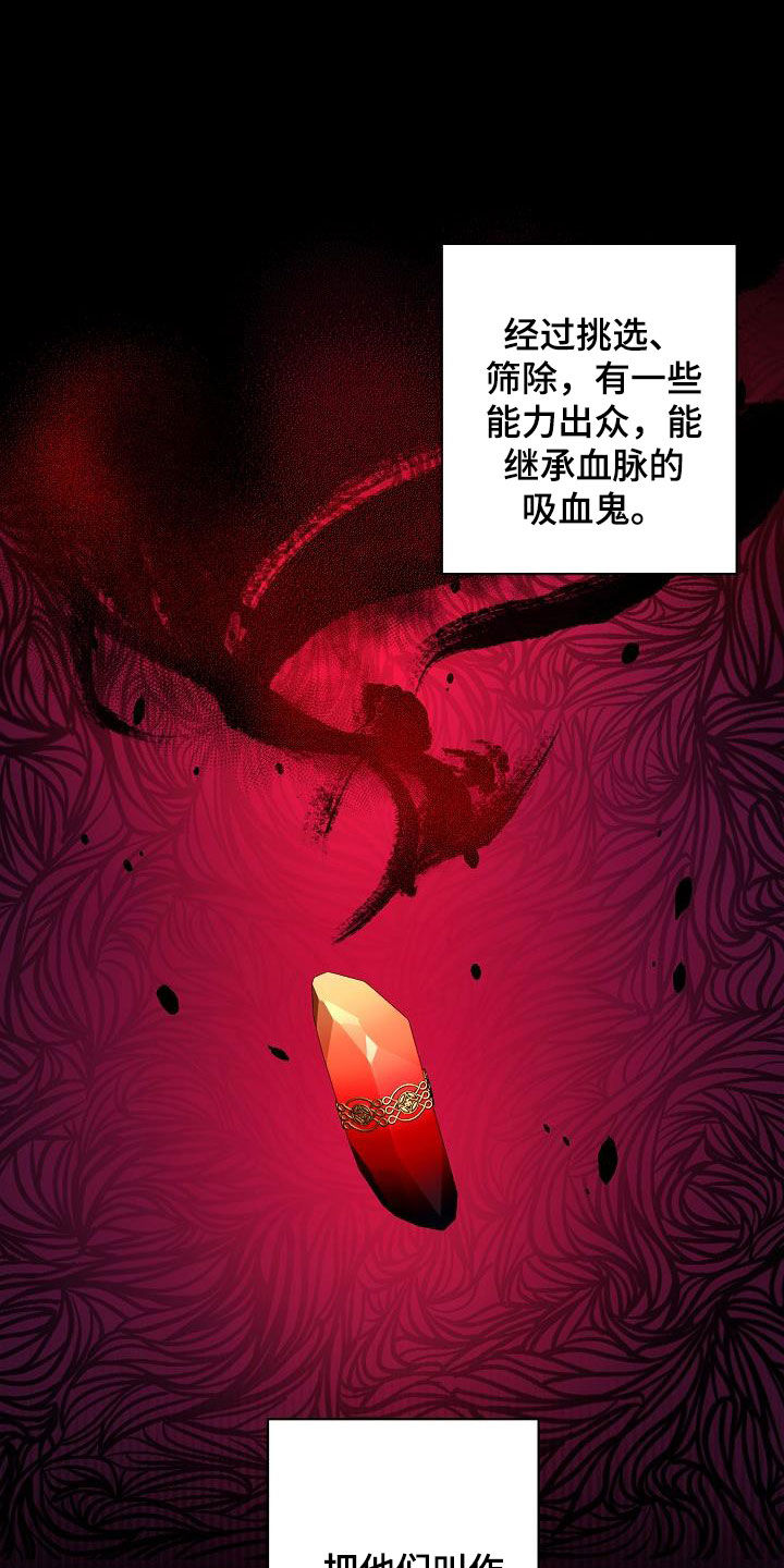 永夜星河大结局漫画,第38章：出现问题了1图