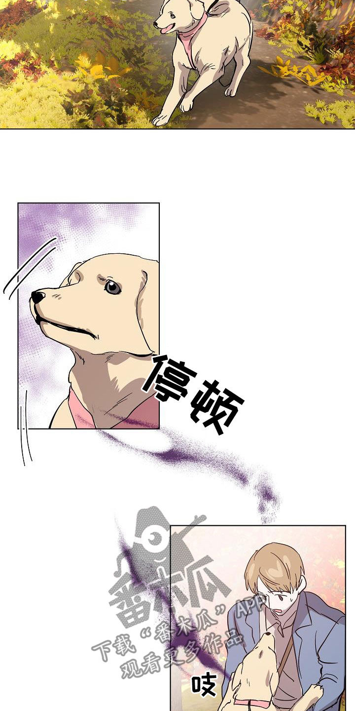 永夜无眠值得买吗漫画,第40章：大胆1图