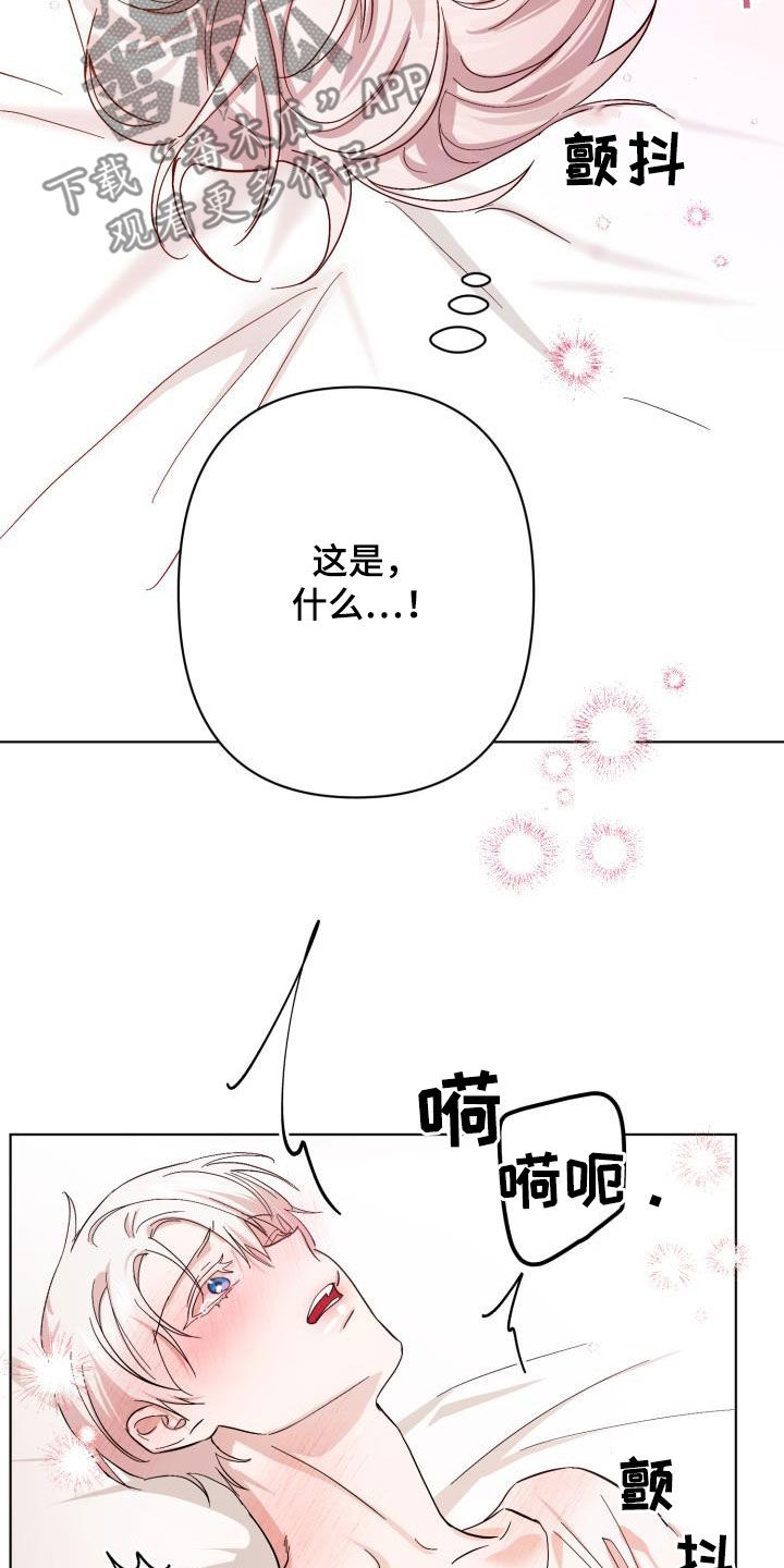 永夜星河剧情简介漫画,第74章：【第二季】疤痕1图