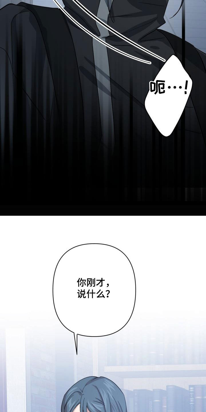 永夜星河漫画,第75章：【第二季】分歧2图