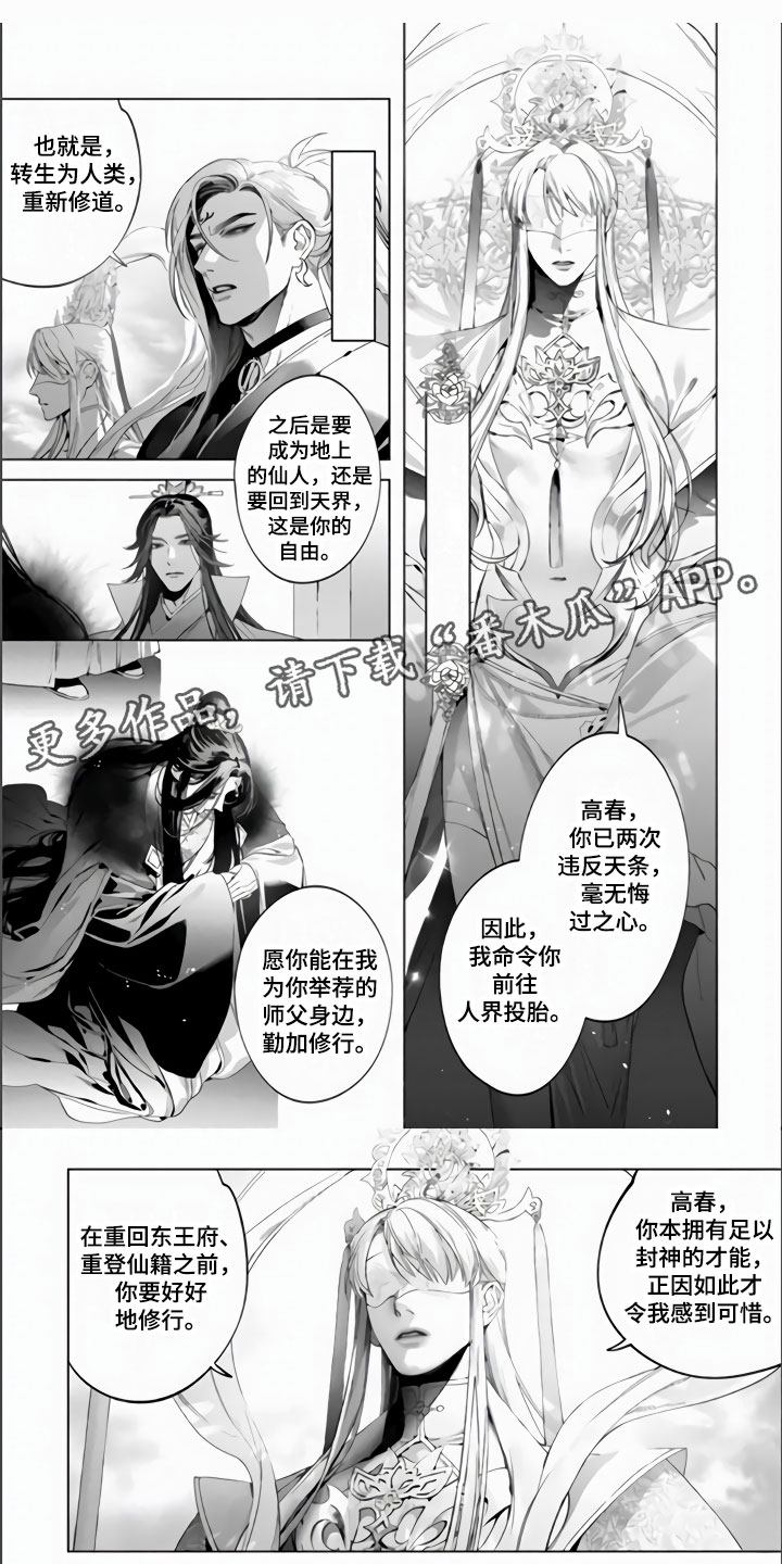 天狐和月婵漫画,第6章：天罚1图