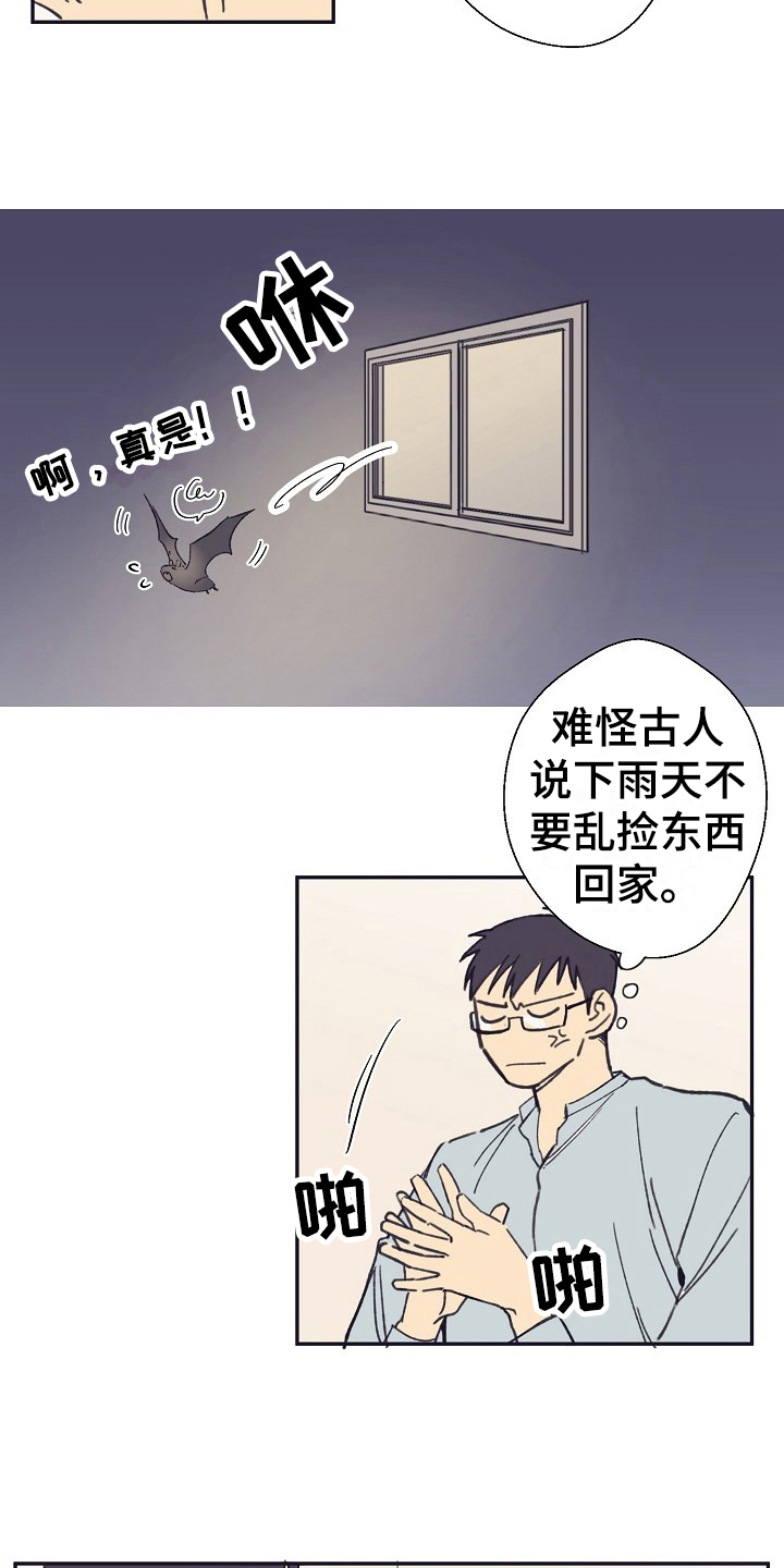 我家的小生物漫画,第4章：收留2图