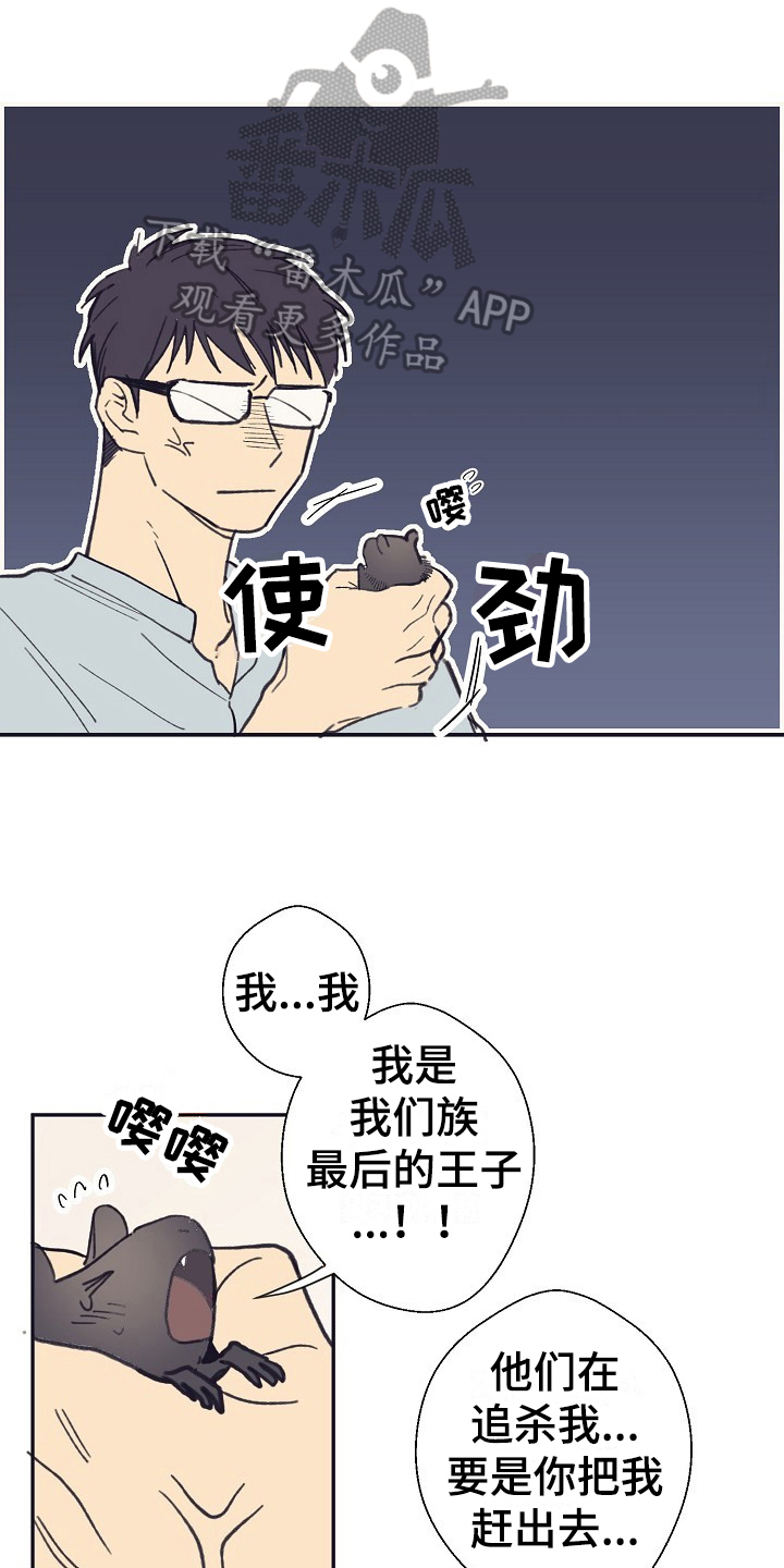 我家的小生物漫画,第4章：收留1图