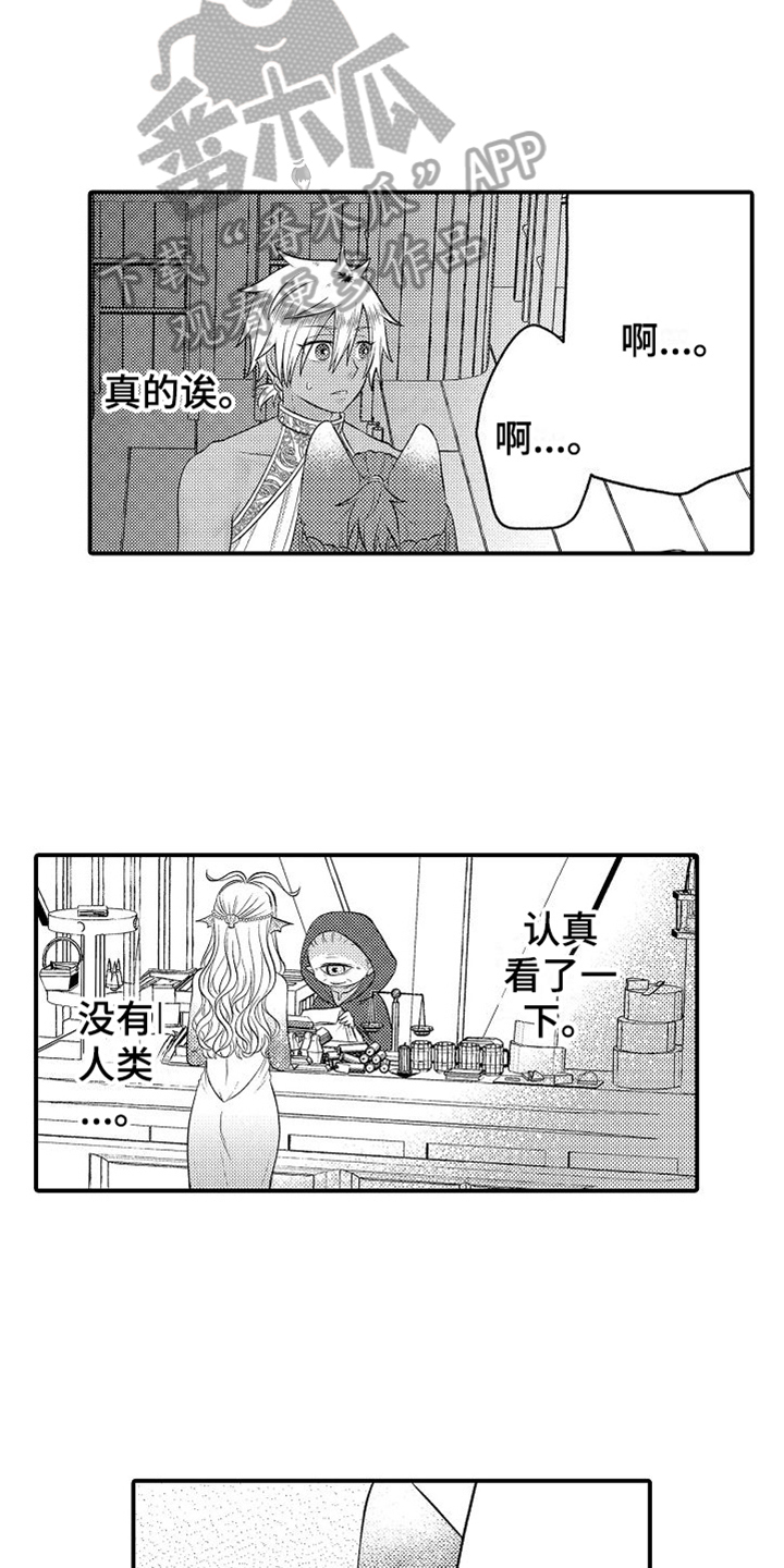 美妙旋律第一季彩虹之梦漫画,第26章：买礼物1图