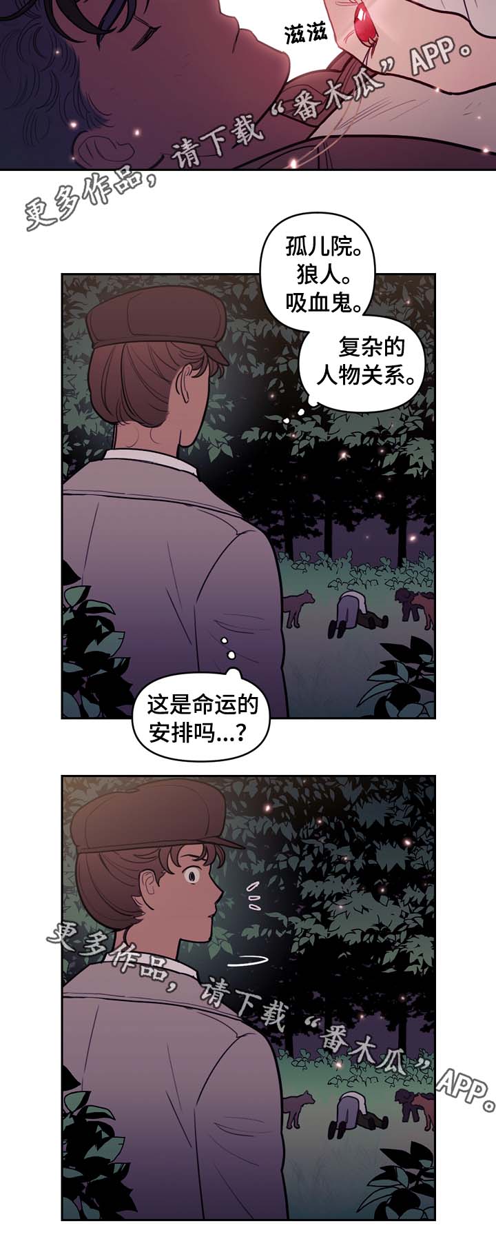 拯救猪猪漫画,第65章：白狼1图