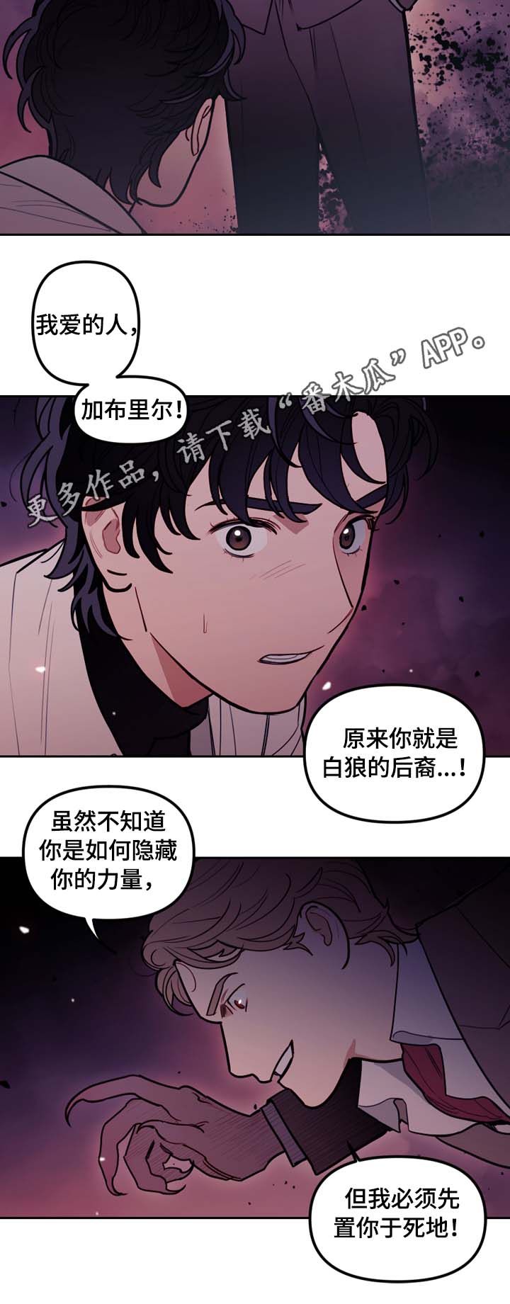 拯救猪猪漫画,第65章：白狼1图