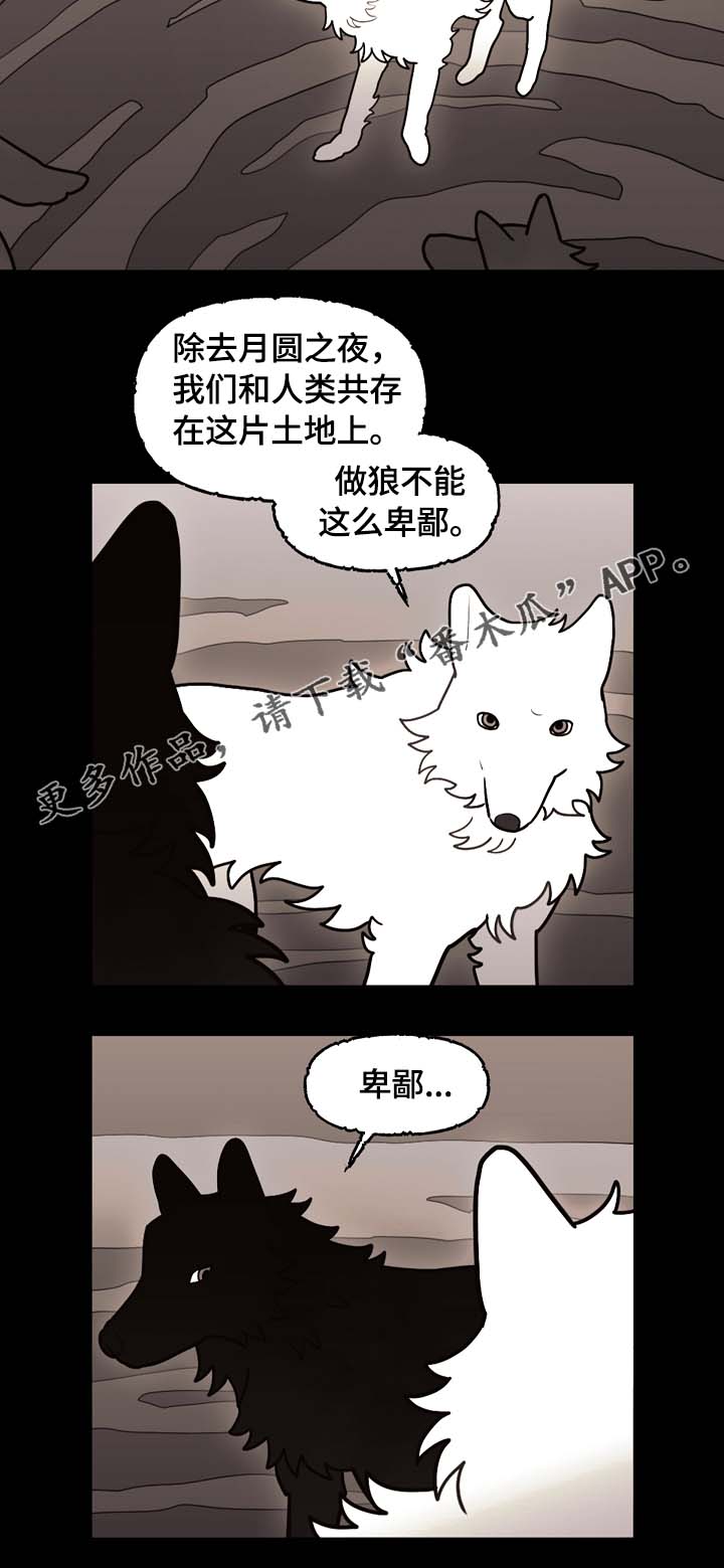 拯救上帝漫画,第66章：狼族秘辛2图