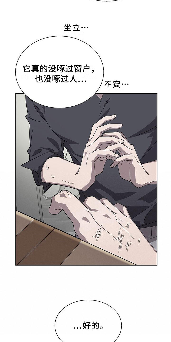 鹊蛇之争漫画,第3章：新邻居2图