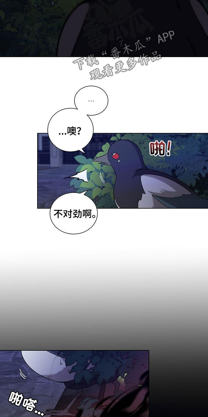 鹊蛇之争漫画,第24章：不会有问题的1图