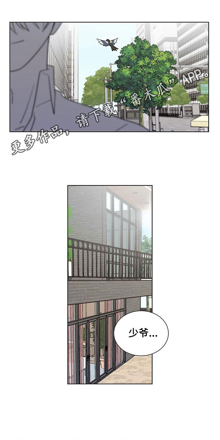 鹊蛇之争漫画,第20章：要疯了1图