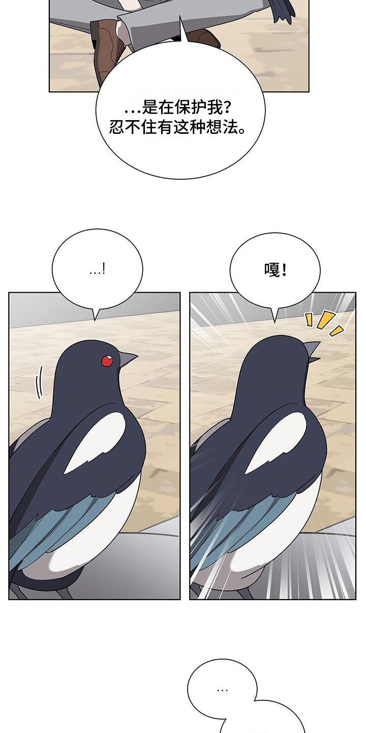 鹊蛇之争漫画,第2章：帅哥登场1图