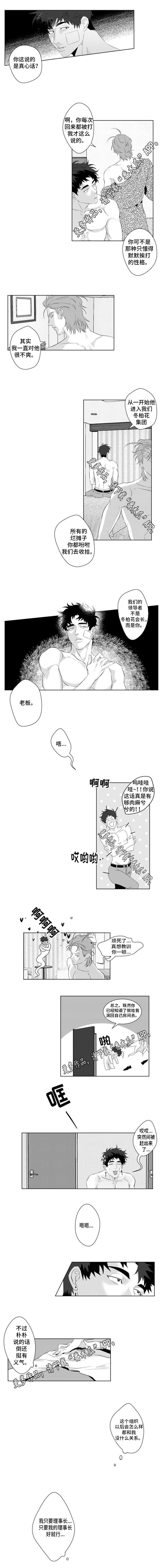 冒险计划漫画,第17章：因为我喜欢你2图