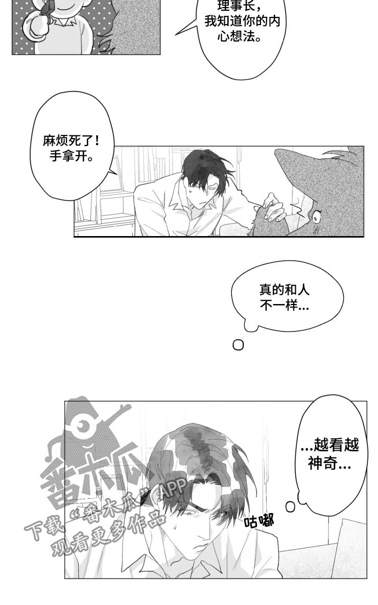 危险和危急漫画,第39章：想试试看1图