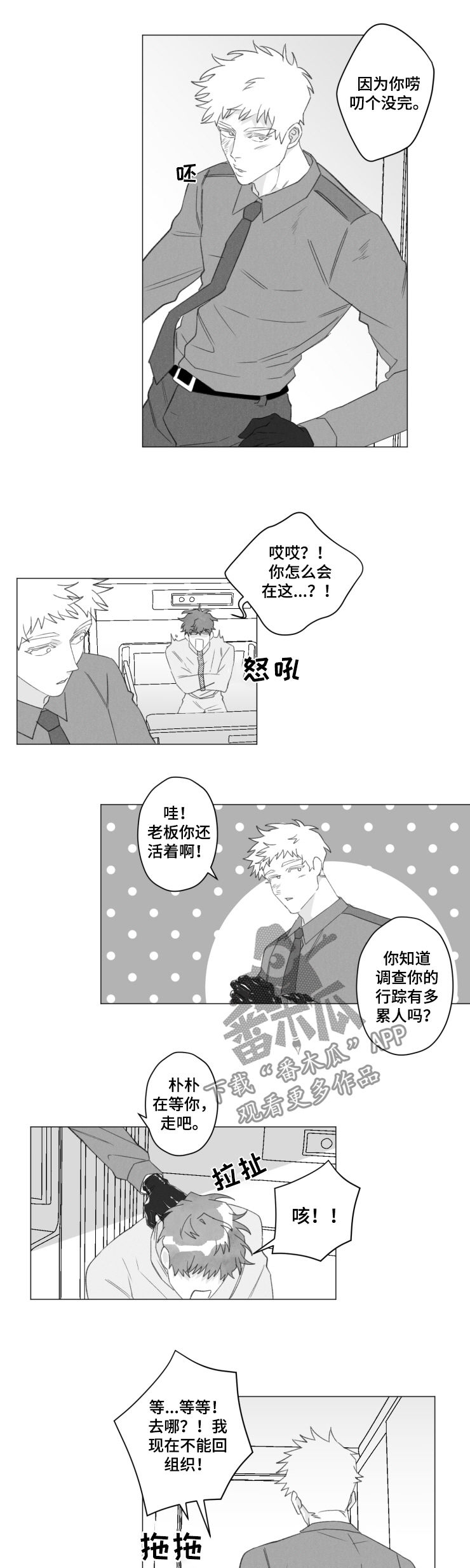 危险的反义词漫画,第44章：香饽饽1图