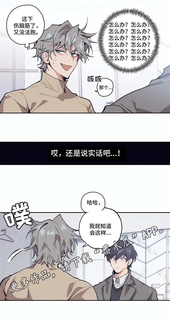 漫画vip的仆从漫画,第5章：揭穿2图