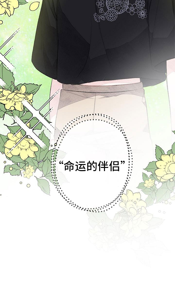完美助教漫画,第34章：命运的伴侣1图