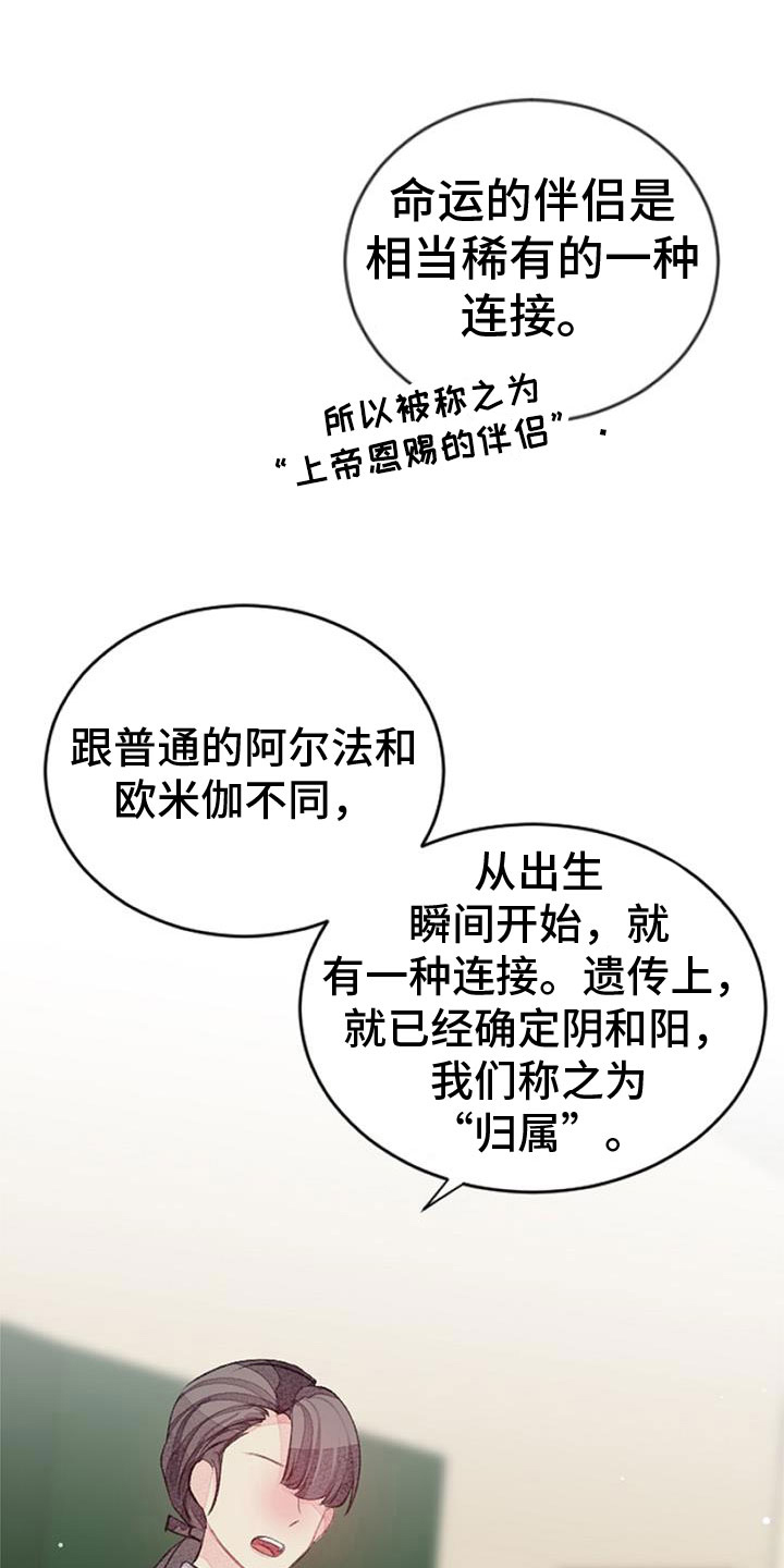 完美助教漫画,第34章：命运的伴侣2图