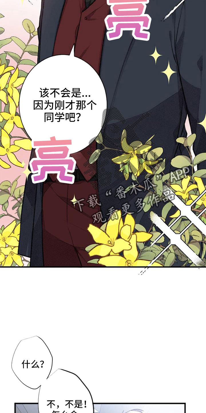 完美篮球训练营助教漫画,第31章：想想就头大2图