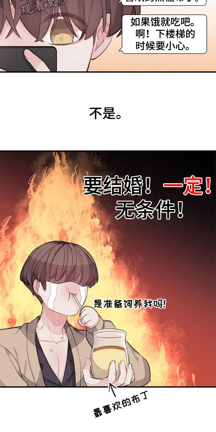 完美助手官方网站漫画,第55章：电话1图