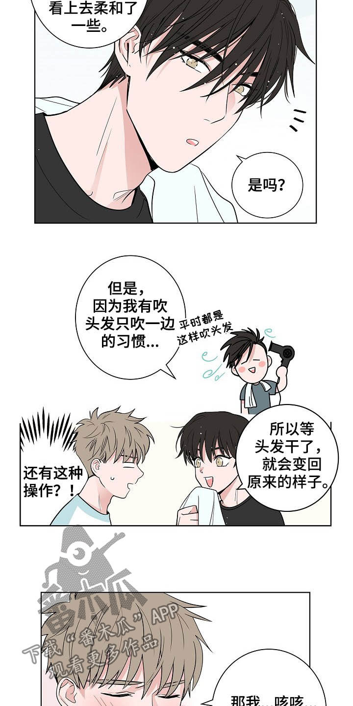 猫狗攻防战漫画免费漫画,第37章：淋雨2图