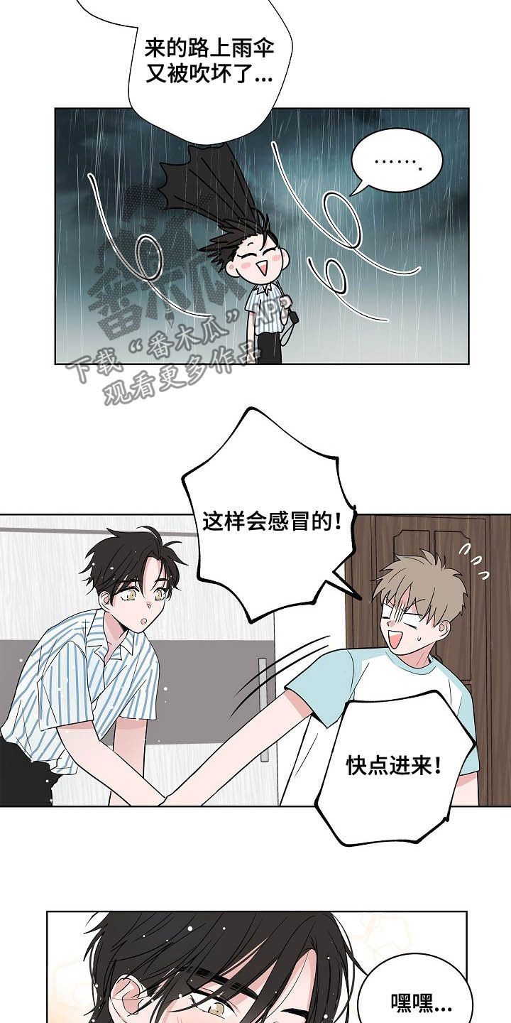 猫狗战斗漫画,第37章：淋雨2图