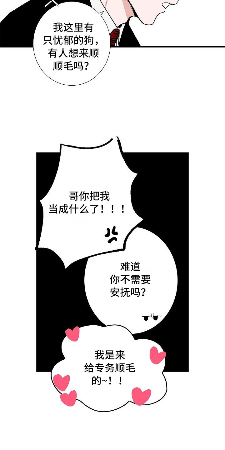 猫狗战争漫画,第2章：反差1图