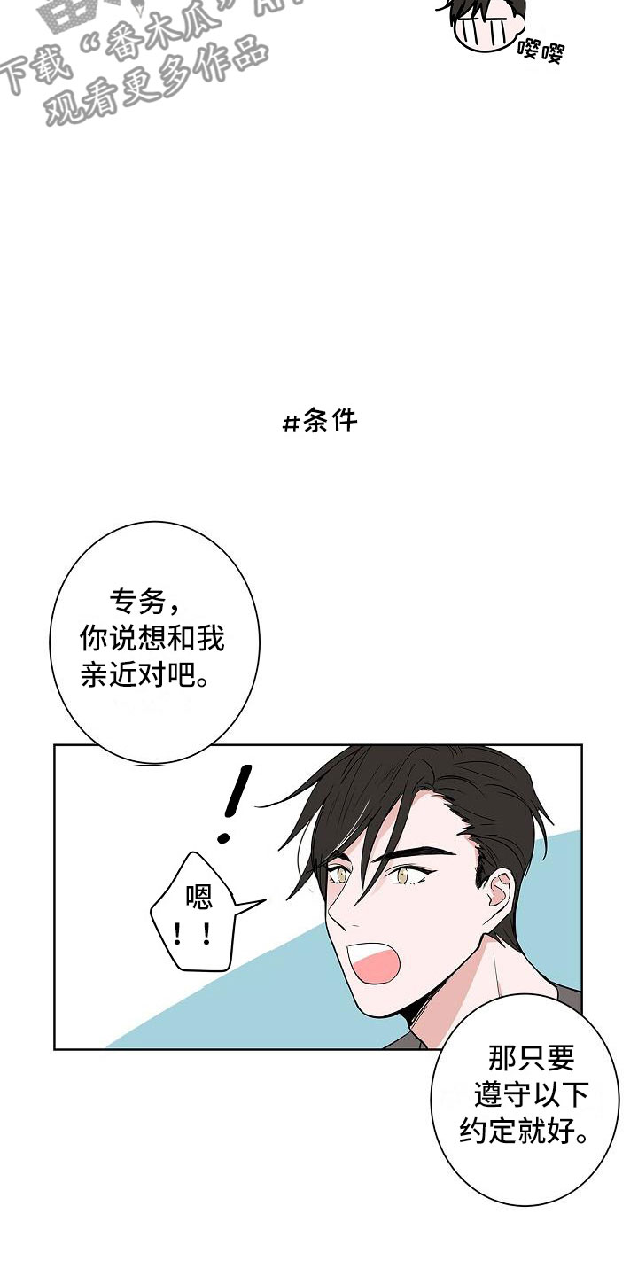 猫狗一窝疯动漫漫画,第12章：朋友游戏1图