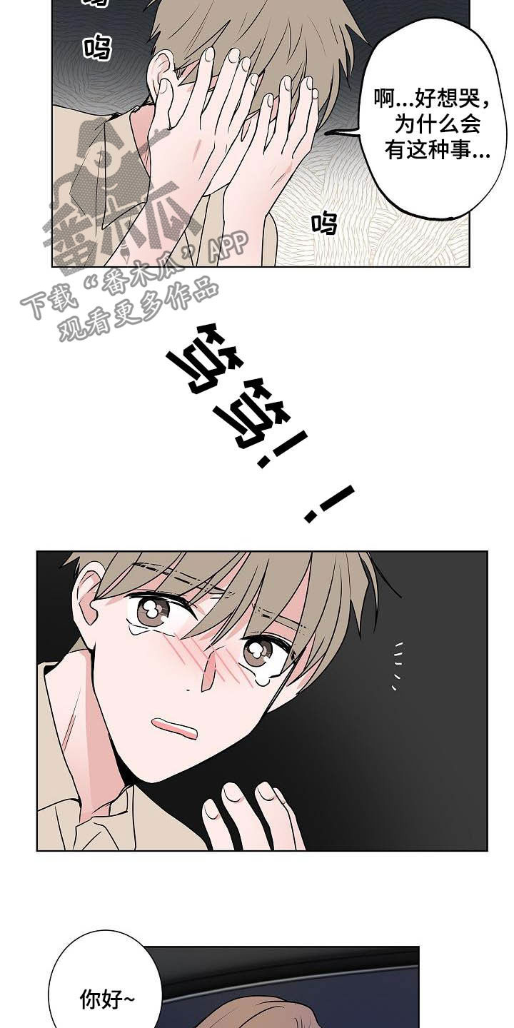 猫狗头像漫画,第40章：做客2图